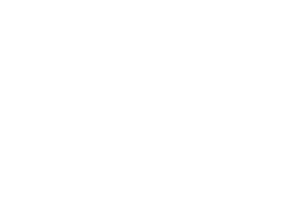official selection spook screen 2024